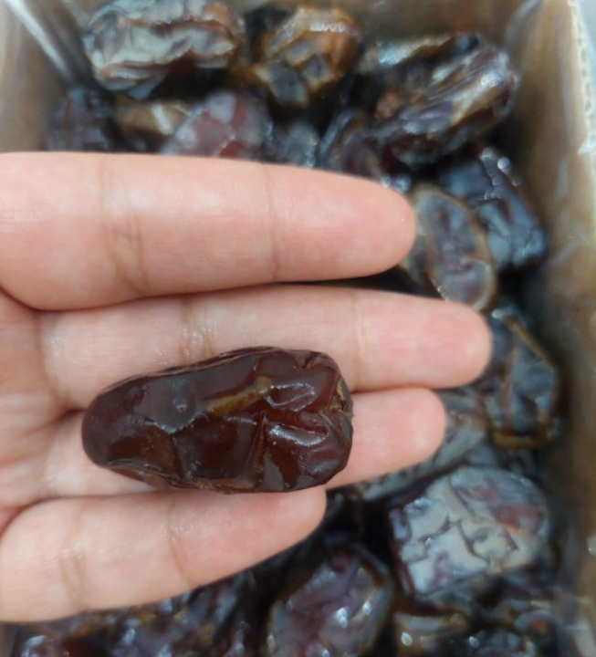 فروش خرما