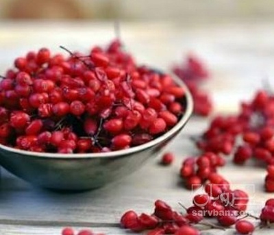 فروش زرشک