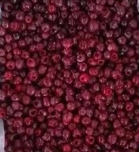 فروش آلبالو مجار با هسته
