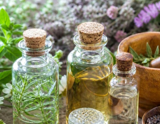 فروش عرق کاسنی