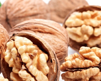فروش گردو