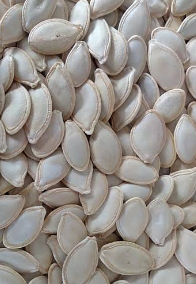 فروش تخمه  کدو بو داده
