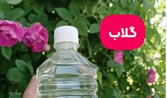 فروش عرق گلاب