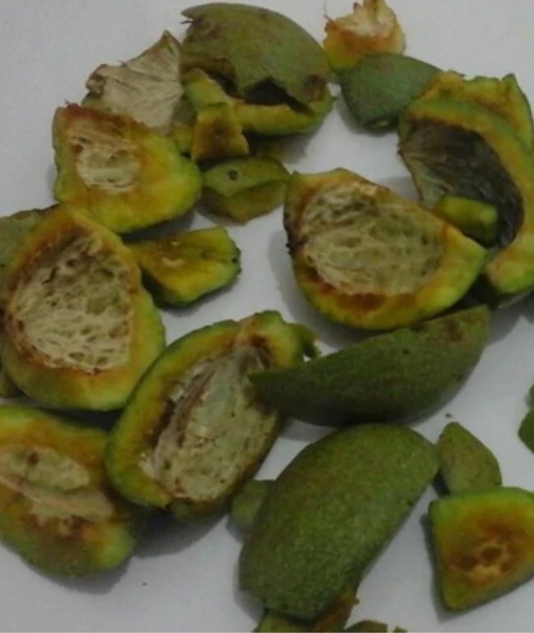 فروش پوست سبز گردو