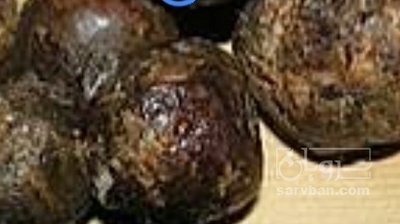 فروش موم و بره موم