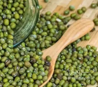 فروش ماش