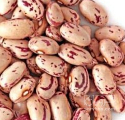 فروش لوبیا چیتی