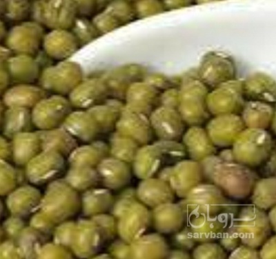 فروش ماش