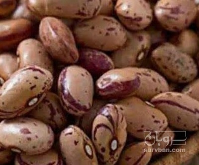 فروش لوبیا چیتی