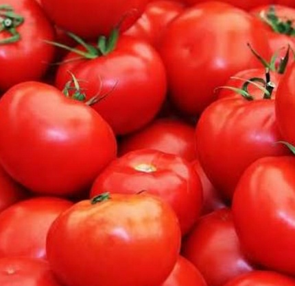 فروش گوجه فرنگی