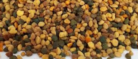 فروش گرده گل