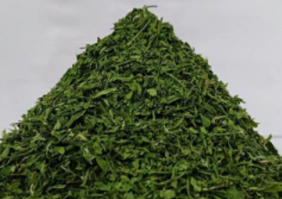 فروش نعناع خشک (گیاه‌ دارویی)