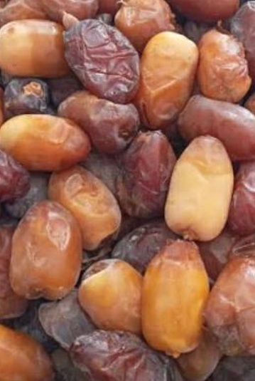 فروش رطب