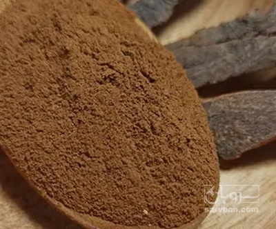 فروش پودر دارچین