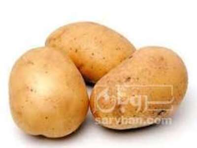 فروش سیب زمینی