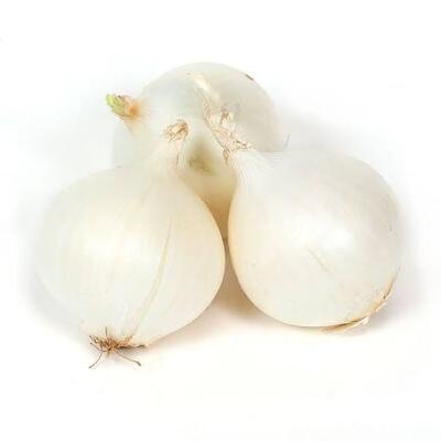 فروش پیاز