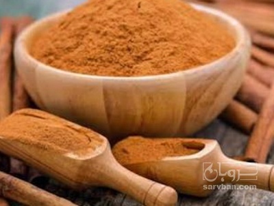 فروش پودر دارچین