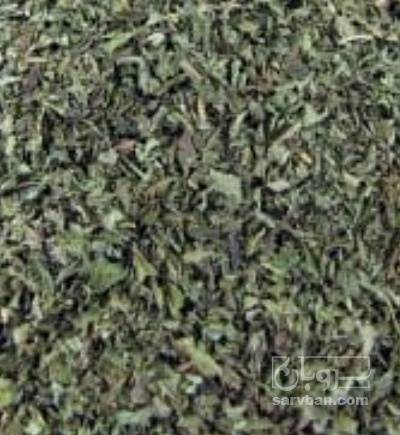 فروش نعناع خشک (گیاه‌ دارویی)