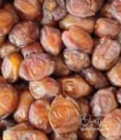 فروش خرما کلوته