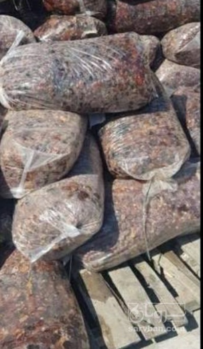 فروش خرما ضایعاتی