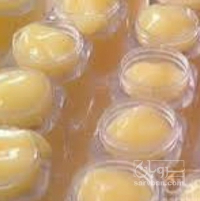 فروش ژل رویال