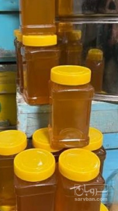 فروش عسل گشنیز