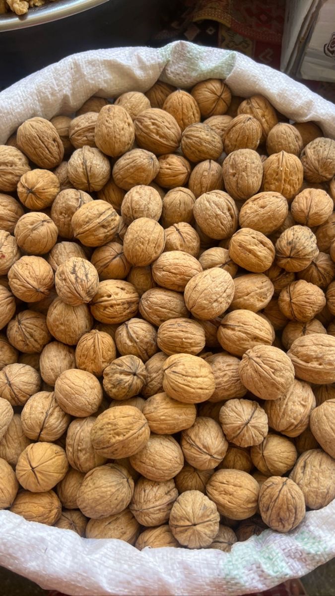 فروش گردو