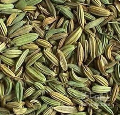 فروش زیره سبز