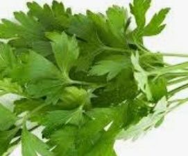فروش جعفری تازه