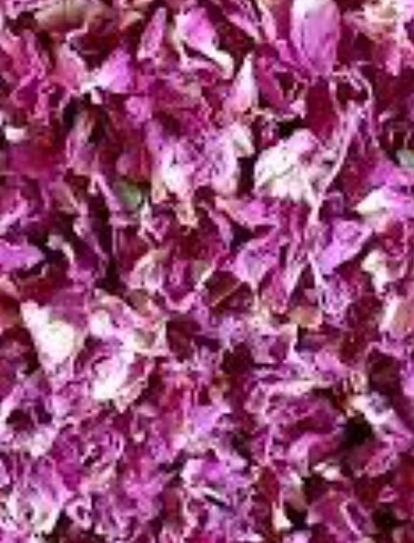 فروش گل محمدی (گیاه‌ دارویی)