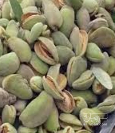 فروش بادام تازه با پوست