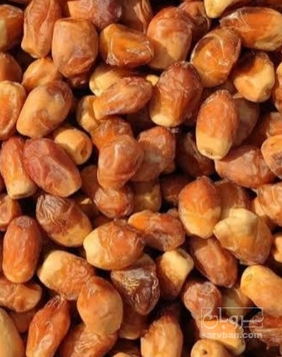 فروش خرما زاهدی
