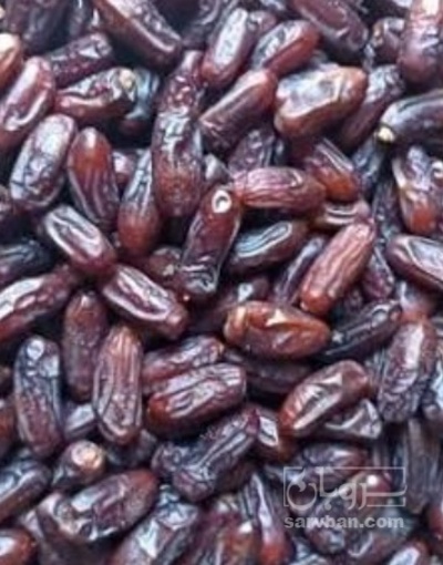 فروش خرما ربی