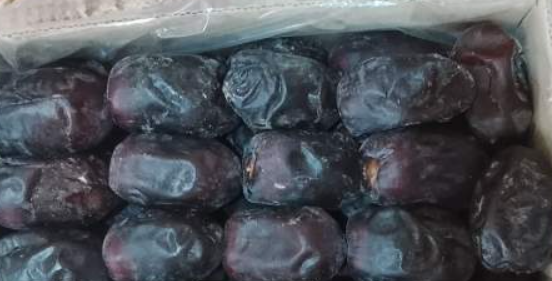 فروش خرما