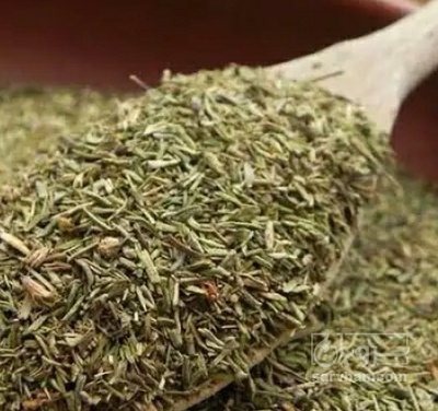 فروش آویشن خشک (گیاه‌ دارویی)