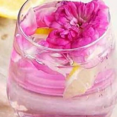 فروش عرق نسترن