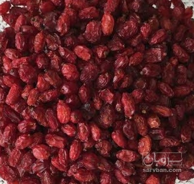 فروش زرشک