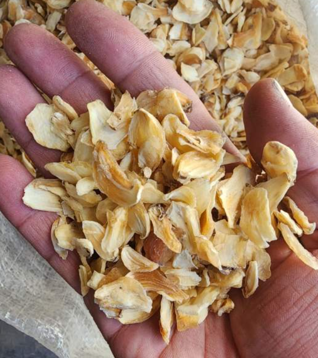 فروش سیر خشک -