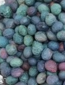 فروش بنه (گیاه‌ دارویی)