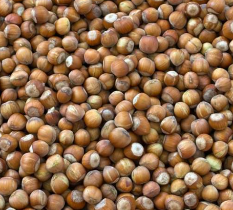 فروش فندق