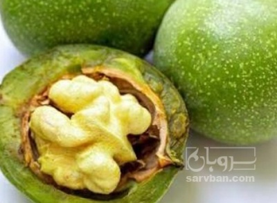 فروش گردو تازه