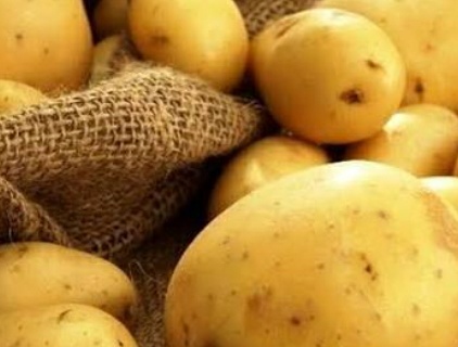 فروش سیب زمینی