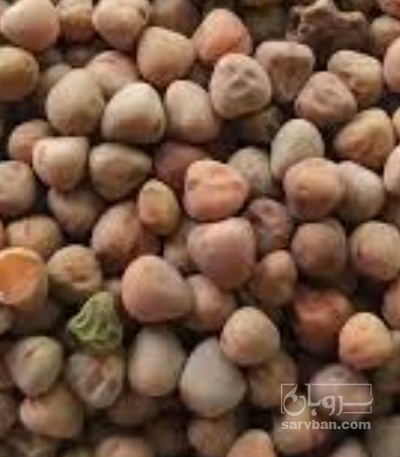 فروش گاودانه - کرسنه  - کوروشنه