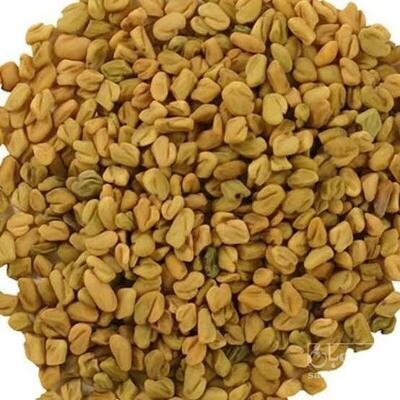 فروش بذر شنبلیله