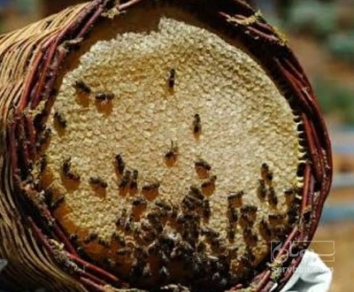فروش عسل سبدی