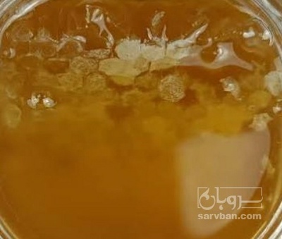 فروش عسل تغذیه