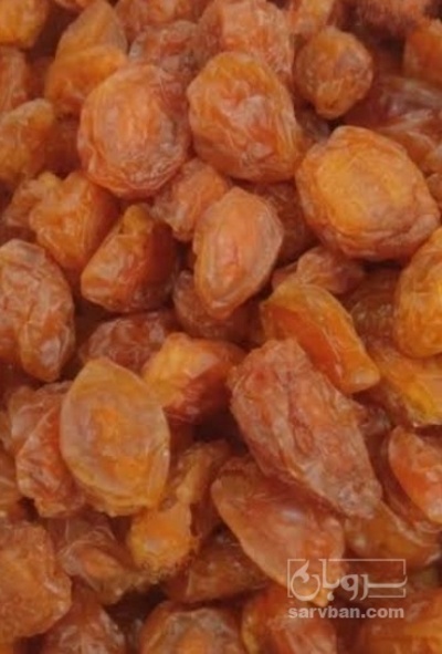 فروش آلو کبرایی