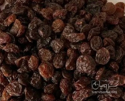 فروش کشمش ابگیری