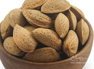 فروش بادام