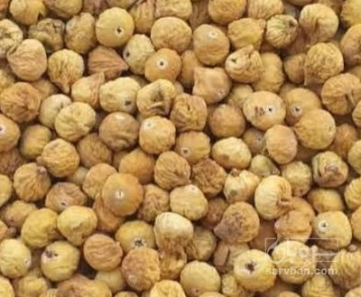 فروش انجیر خشک